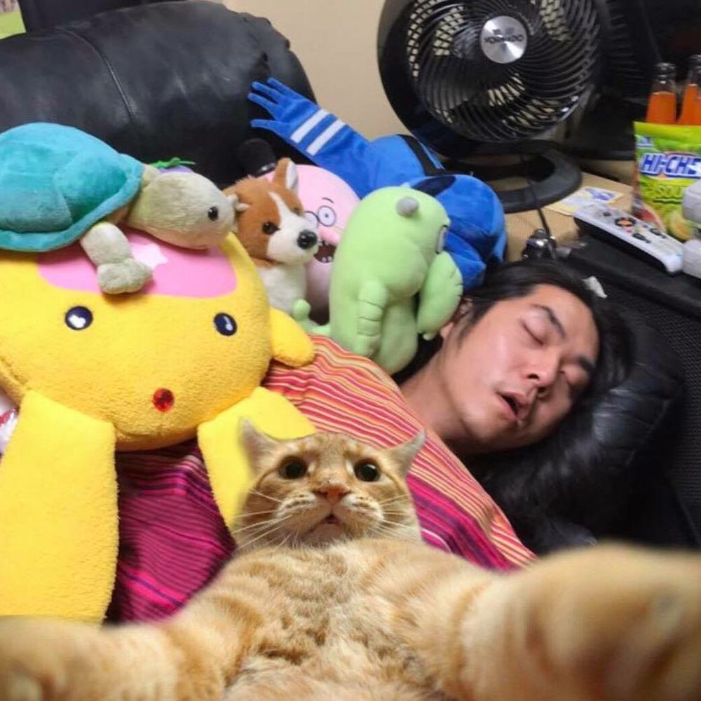 Meet your Posher, Dori